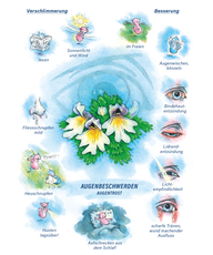 Arzneimittelbild Euphrasia. Augenbeschwerden, Augentrost.