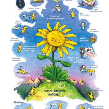 Arzneimittelbild Arnica. Zerschlagenheit, Wundheit.