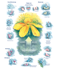 Arzneimittelbild Hypericum. Aufwärts, ans Licht. Raus aus dem Nebel.