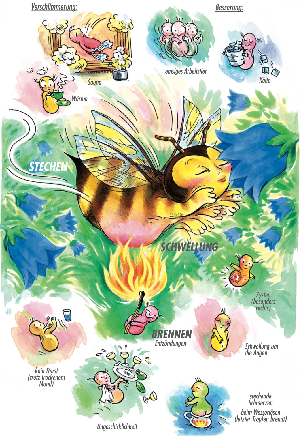 Arzneimittelbild Apis. Stechen, Schwellung, Brennen.