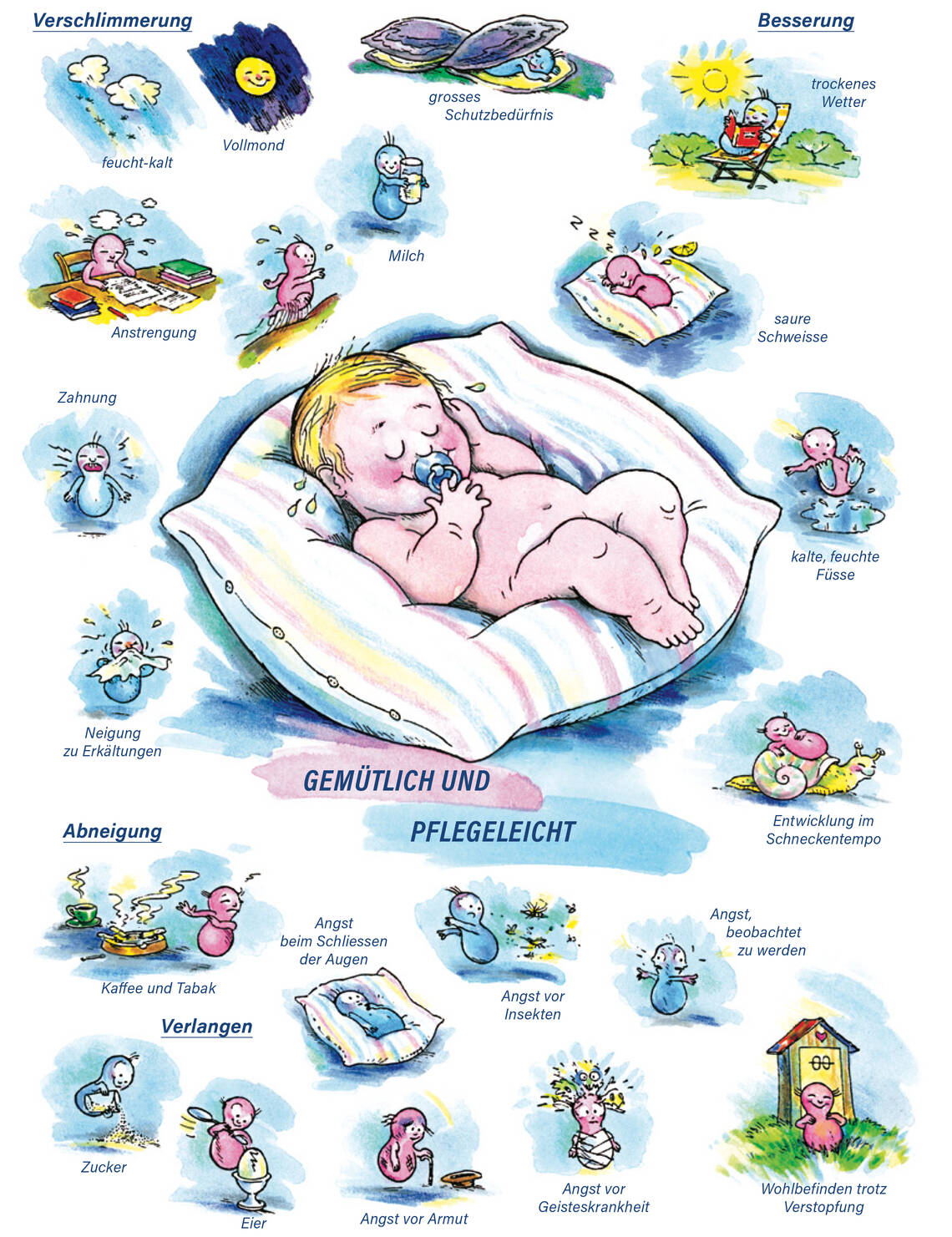 Arzneimittelbild Calcium carbonicum hahnemanni. Gemütlich und pflegeleicht