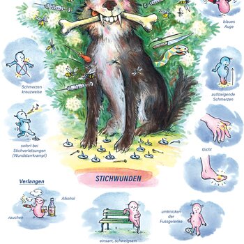 Arzneimittelbild Ledum. Stichwunden