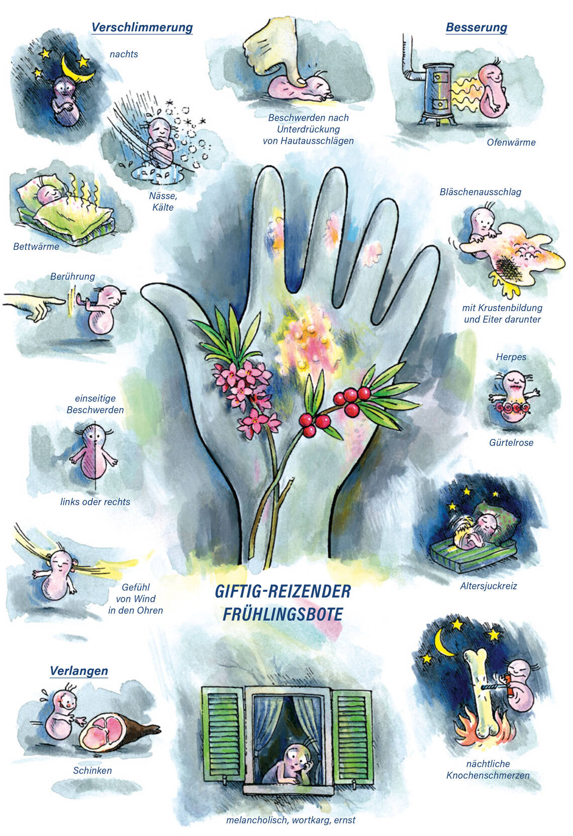 Arzneimittelbild Mezereum. Giftig, reizender Frühlingsbote