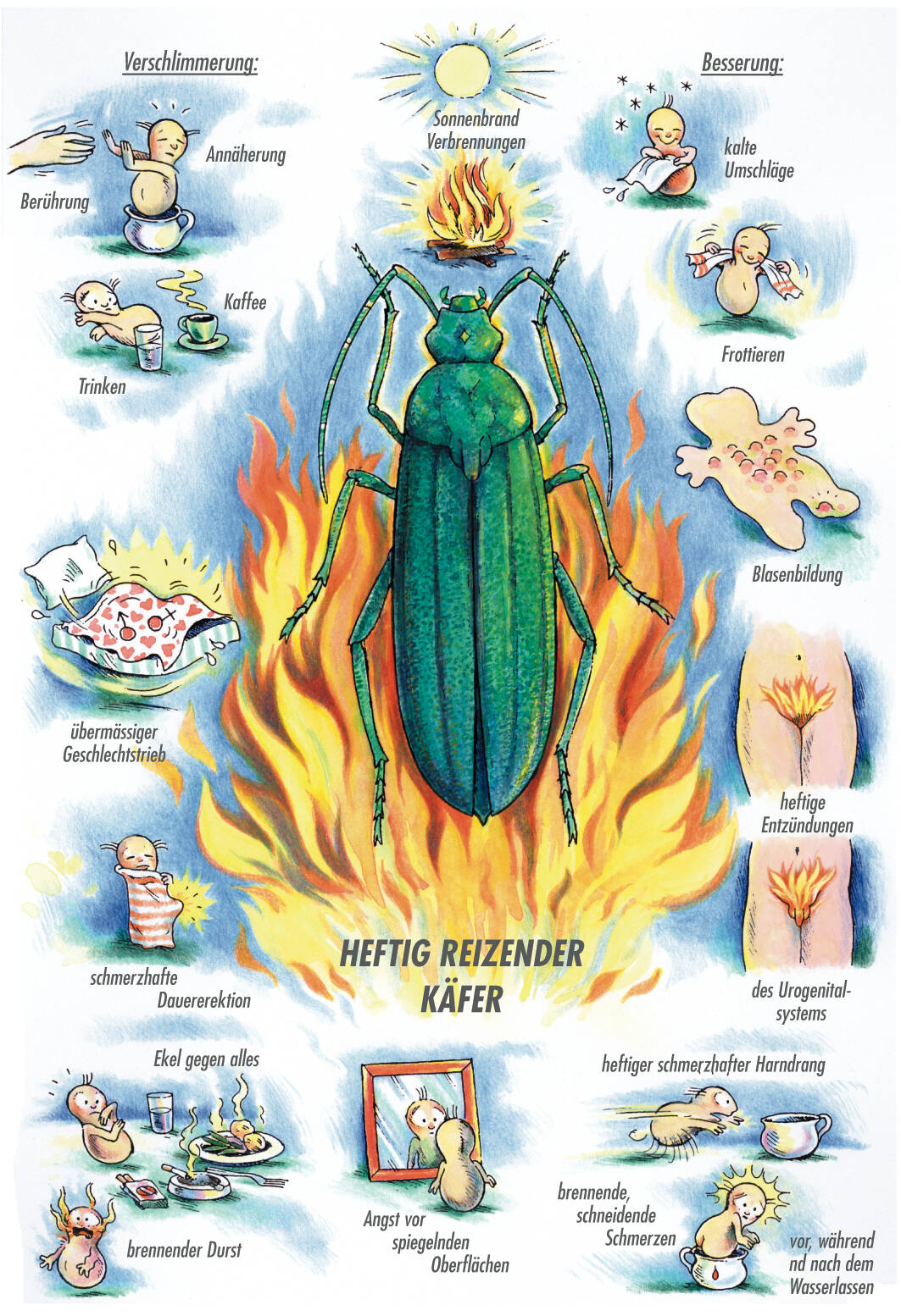 Arzneimittelbild Cantharis. Heftig reizender Käfer.
