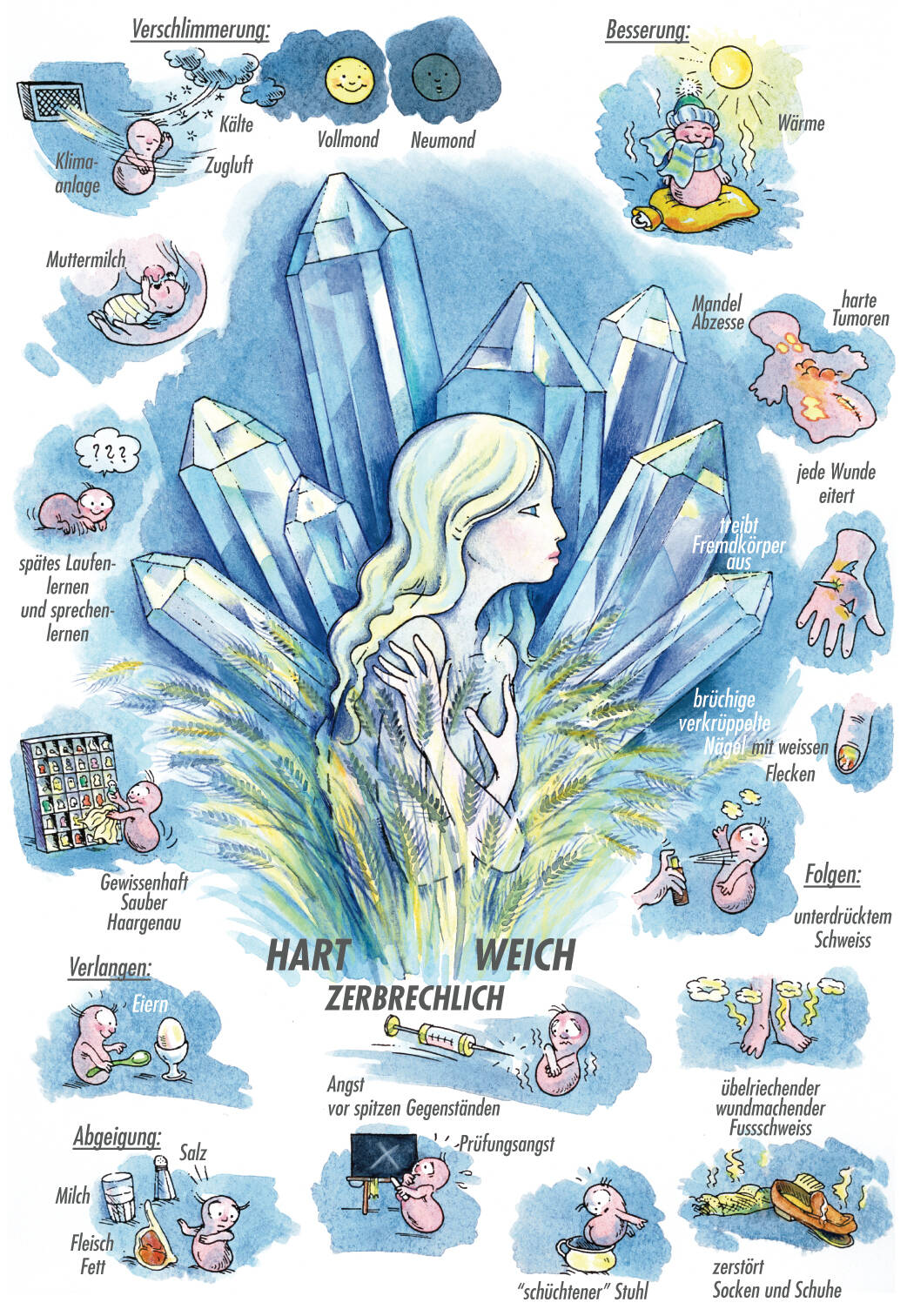 Arzneimittelbild Silicea. Hart, zerbrechlich, weich | © Sven Hartmann