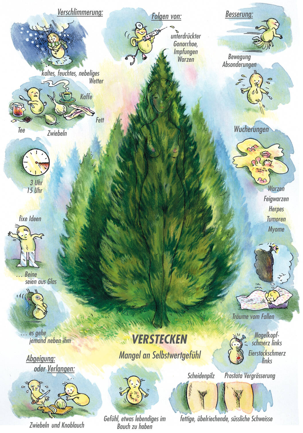 Arzneimittelbild Thuja. Verstecken, Mangel an Selbstwertgefühl | © Sven Hartmann