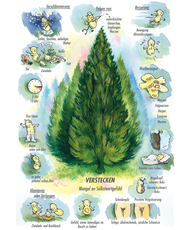 Arzneimittelbild Thuja. Verstecken, Mangel an Selbstwertgefühl | © Sven Hartmann