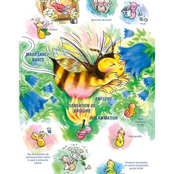Tableaux médicaux Apis mellifica. Enflure, sensation de brûlure, inflammation