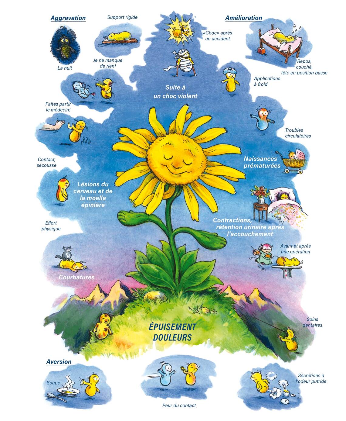 Tableaux médicaux Arnica montana. Épuisement, douleurs.