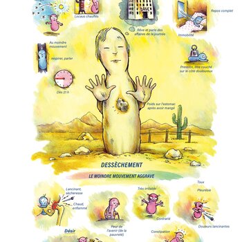 Tableaux médicaux Bryonia. Dessèchement