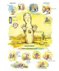 Tableaux médicaux Bryonia. Dessèchement