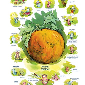 Tableaux médicaux Colocynthis. Crampes, coliques.