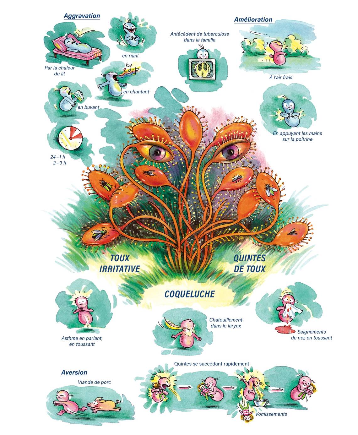 Tableaux médicaux Drosera. Toux irritative, coqueluche, quintes de toux.
