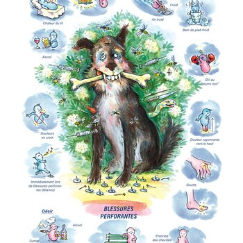 Tableaux médicaux Ledum. Blessures, perforantes.