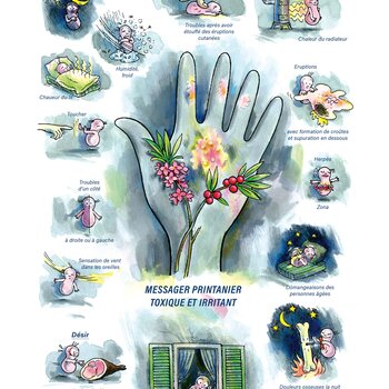 Tableaux médicaux Mezereum. Messager printanier toxique et irritant