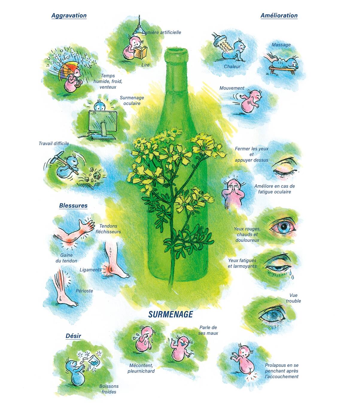 Tableaux médicaux Ruta graveolens. Surmenage.