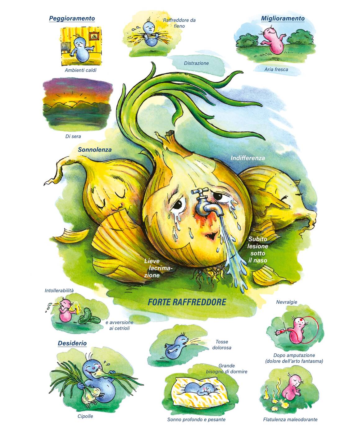 Quadro farmacologico Allium cepa. Forte raffreddore.