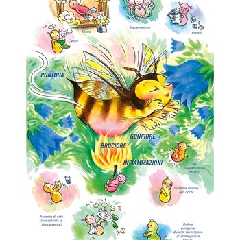 Quadro farmacologico Apis mellifica. Gonfiore, bruciore, infiammazioni.