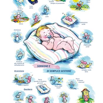 Quadro farmacologico Calcium carbonicum. Sornione e di semplice gestione.