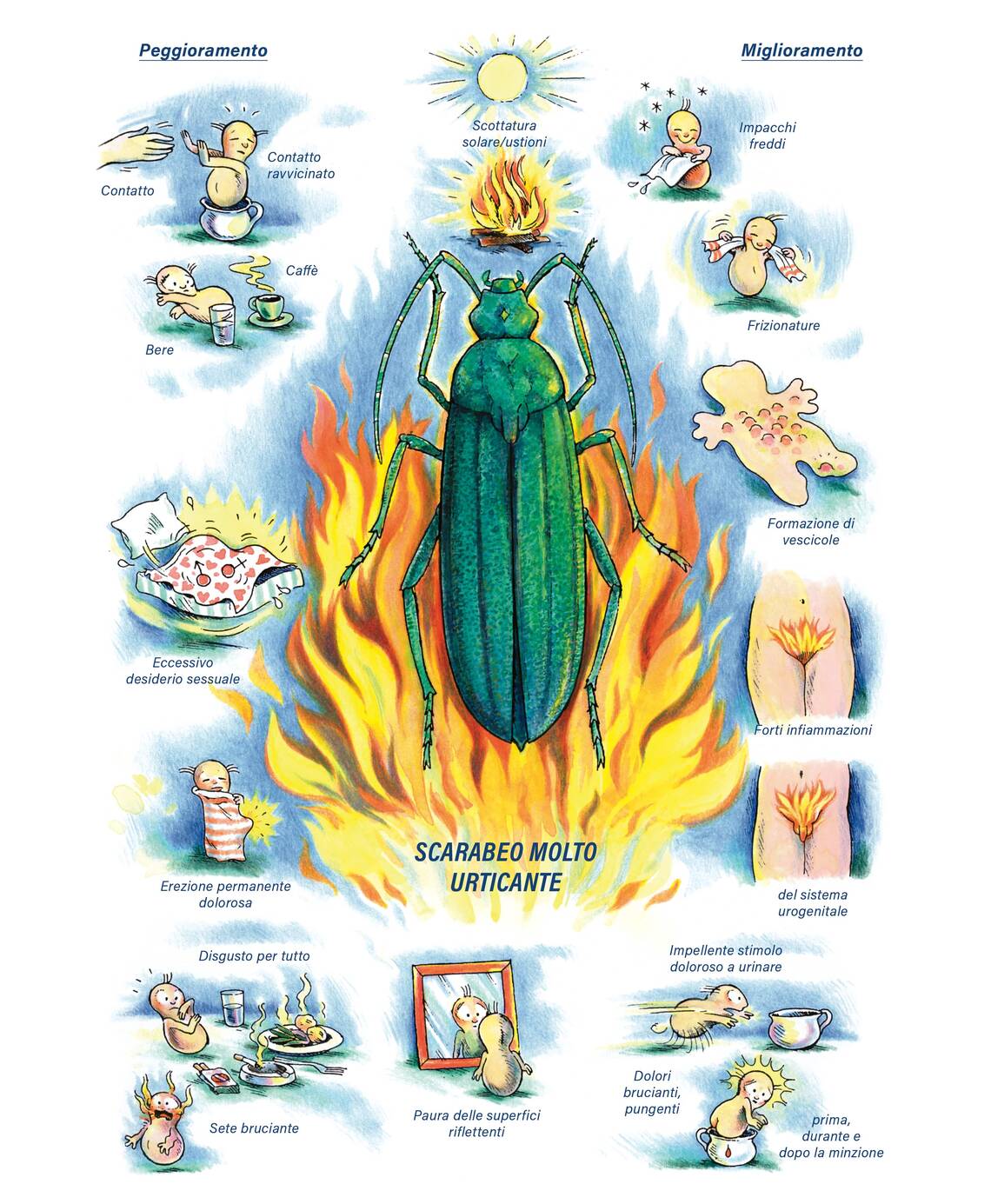 Quadro farmacologico Cantharis. Scarabeo molto urticante.