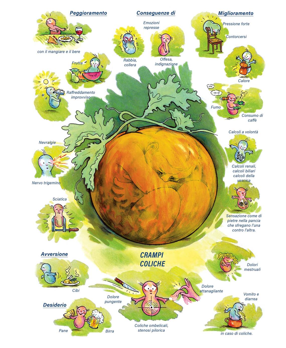 Quadro farmacologico Colocynthis. Crampi, coliche.