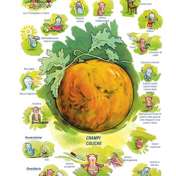 Quadro farmacologico Colocynthis. Crampi, coliche.