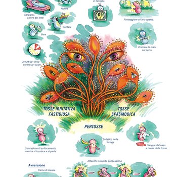 Quadro farmacologico Drosera. Tosse irritativa fastidiosa, pertosse, tosse spasmodica.