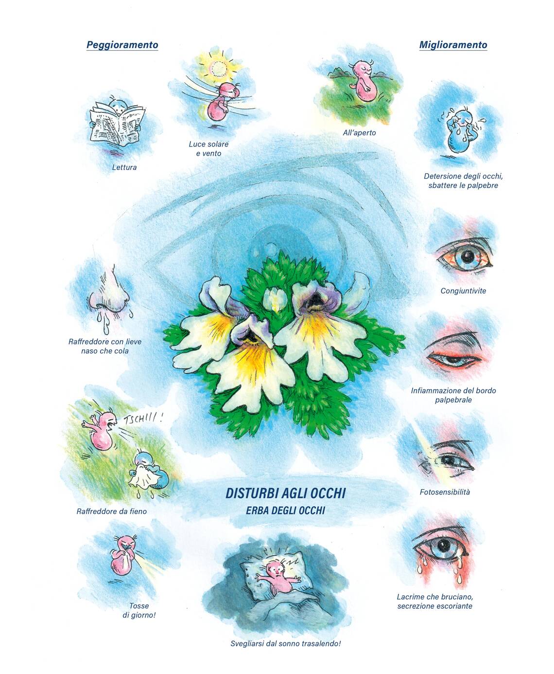 Quadro farmacologico Euphrasia. Disturbi agli occhi.