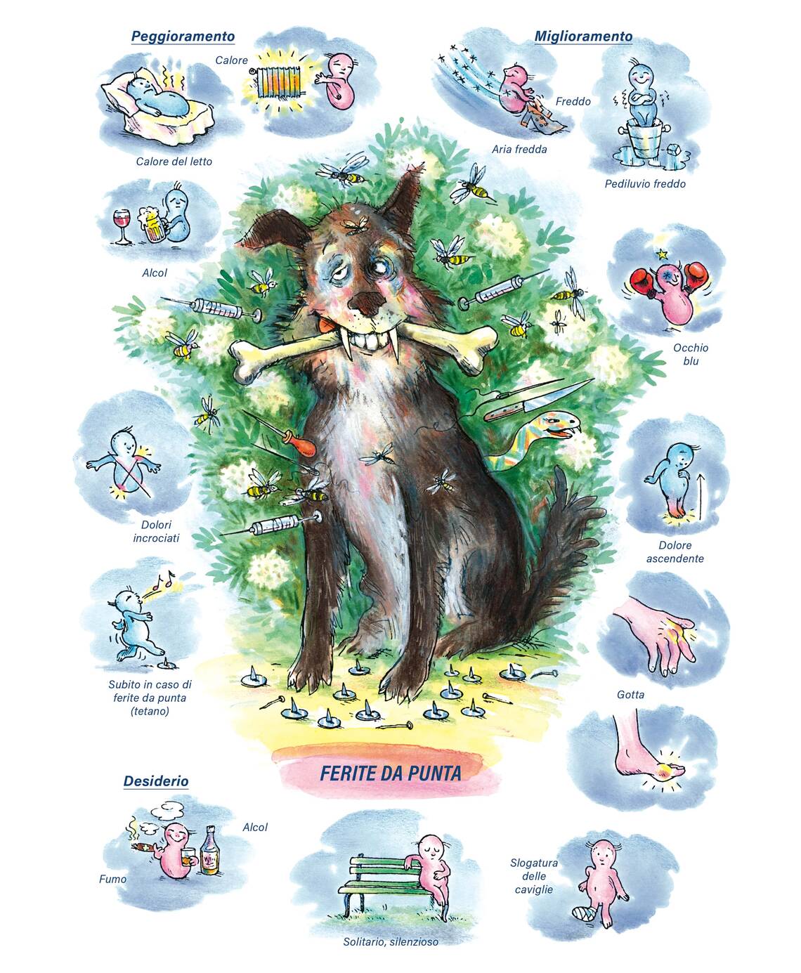 Quadro farmacologico Ledum. Ferite da punta