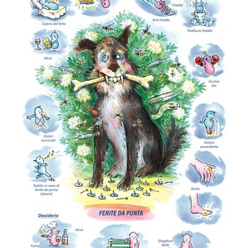 Quadro farmacologico Ledum. Ferite da punta