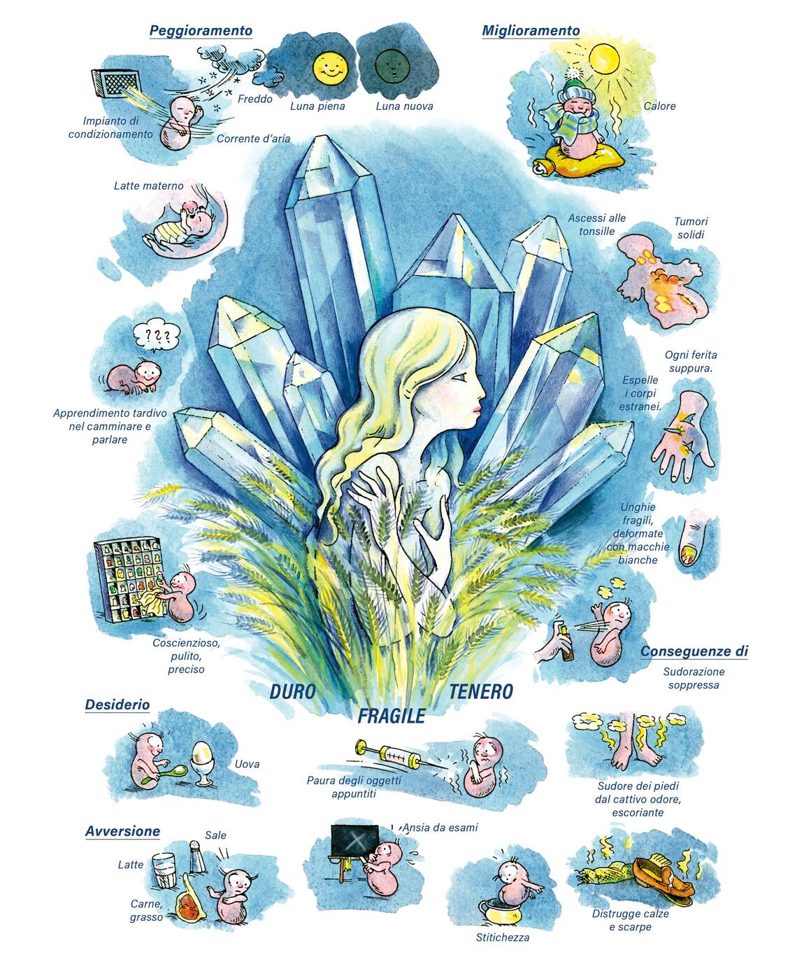 Quadro farmacologico Silicea. Duro, Fragile, Tenero