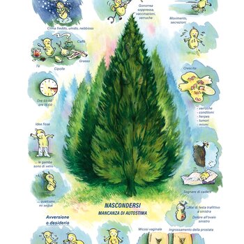 Quadro farmacologico Thuja. Nascondersi, mancanza di autostima.