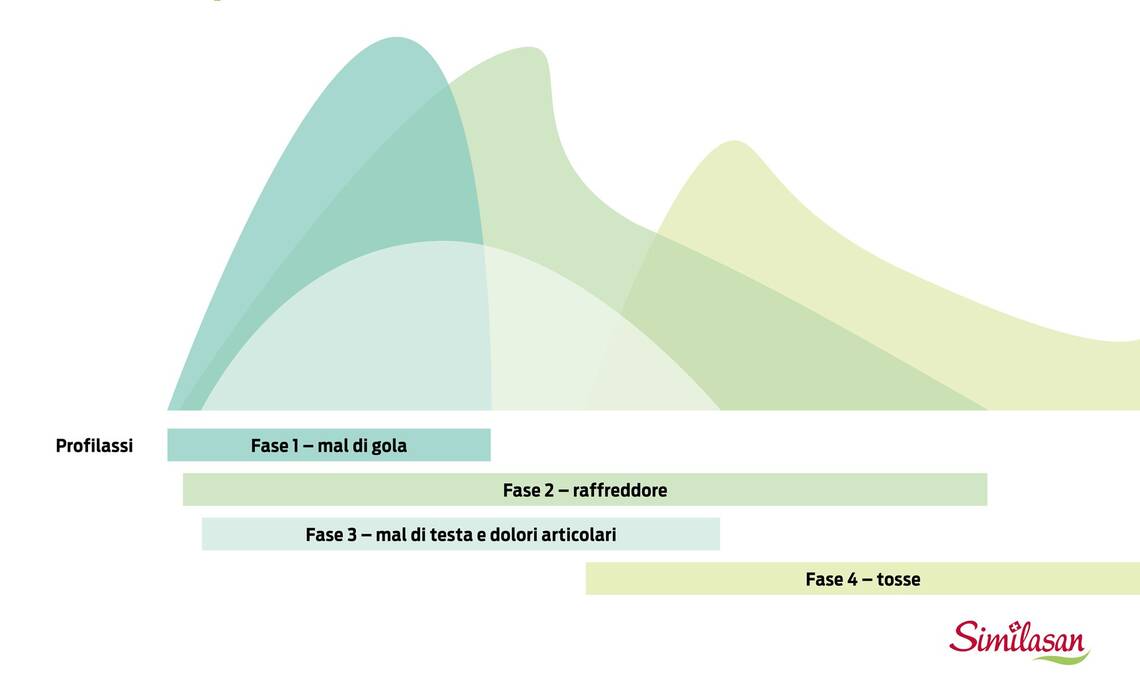 Decorso tipico di un raffreddore. Fase 1: Mal di gola, Fase 2: raffreddore, Fase 3: Mal di testa e dolori articolari, Fase 4: Tosse