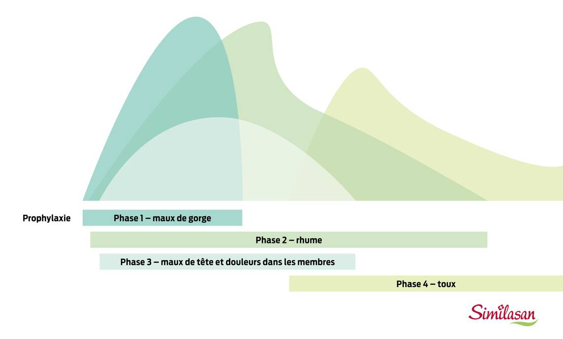 Évolution typique d'un refroidissement. Phase 1: Maux de gorge, Phase 2: Rhume, Phase 3: Maux de tête et douleurs dans les membres, Phase 4: toux