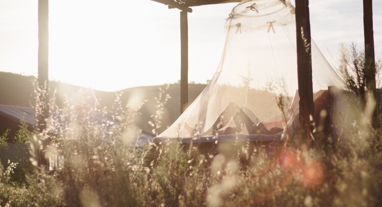 Draussen in einer Wiese steht bei Abenddämmerung ein Liegestuhl mit Moskitonetz darüber. Eine Frau ist im Liegestuhl am lesen. | © Presley Roozenburg via Unsplash