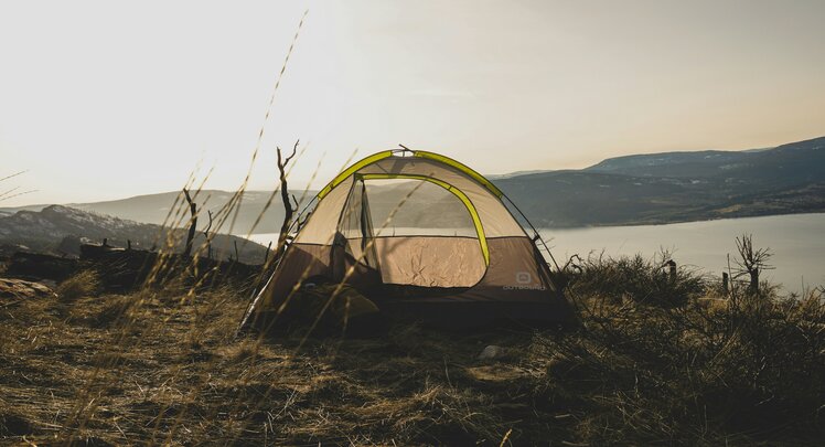 Beim Camping in Zelt kann es bei Dämmerung zu Insektenstichen kommen. | © Tyler Reynolds via Unsplash
