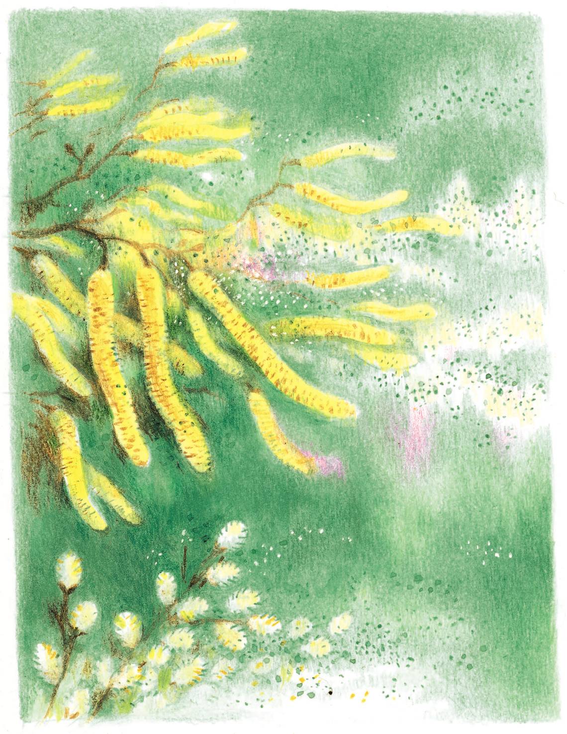 Zeichnung von Birkenblüten wie die Pollen vom Wind davon getragen werden. | © Sven Hartmann