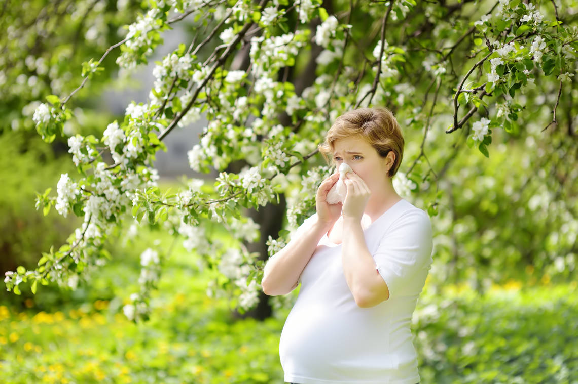 Homöopathie kann bei Heuschnupfen in der Schwangerschaft Symptome lindern. | © Adobe Stock