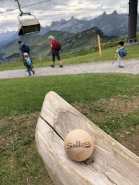 Der Familienwanderweg startet auf dem Fronalpstock