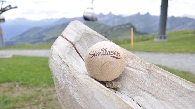 Holzkugel mit Similasan Logo